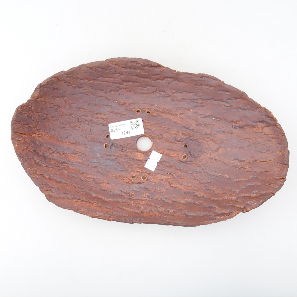 Conchiglia in ceramica 30 x 18,5 x 5 cm , colore marrone