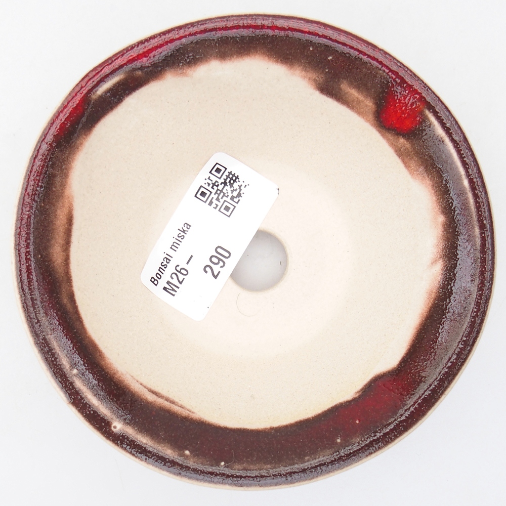 Mini bonsai 10,5 x 10,5 x 3,5 cm, colore rosso