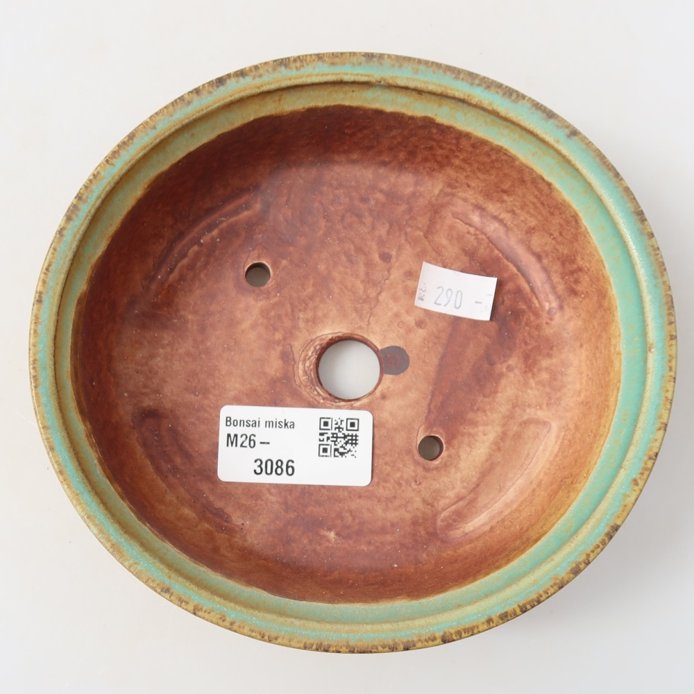 Vaso da bonsai in ceramica 15,5 x 14,5 x 4 cm, colore verde