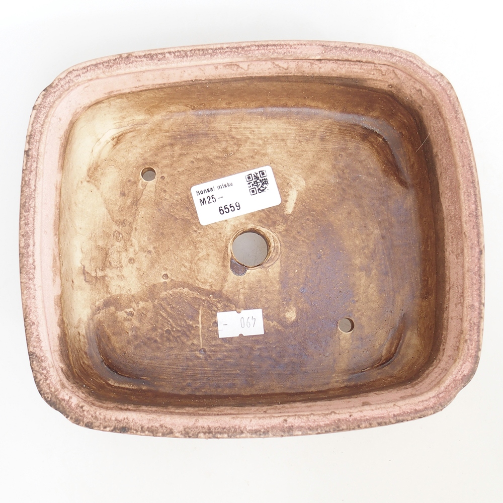 Ciotola bonsai in ceramica 20 x 17 x 6 cm, rosa