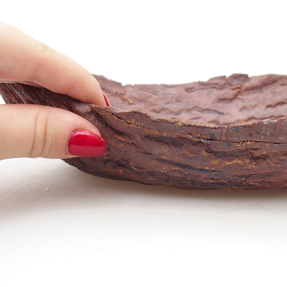 Conchiglia in ceramica 27 x 19 x 7 cm , colore marrone