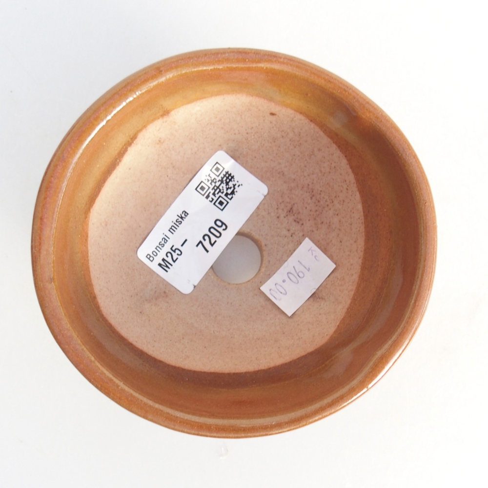 Ciotola bonsai in ceramica 26 x 26 x 8 cm, colore rosso