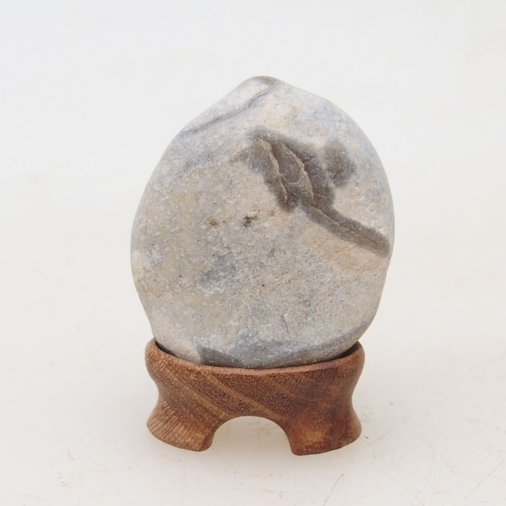 Suiseki - Pietra con DAI (base in legno)