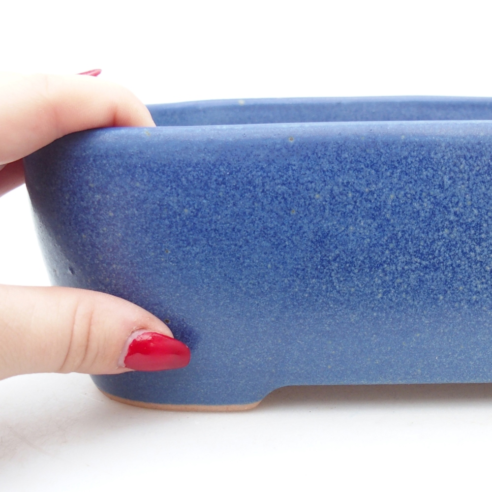 Ciotola bonsai in ceramica 23 x 17 x 7,5 cm, colore blu