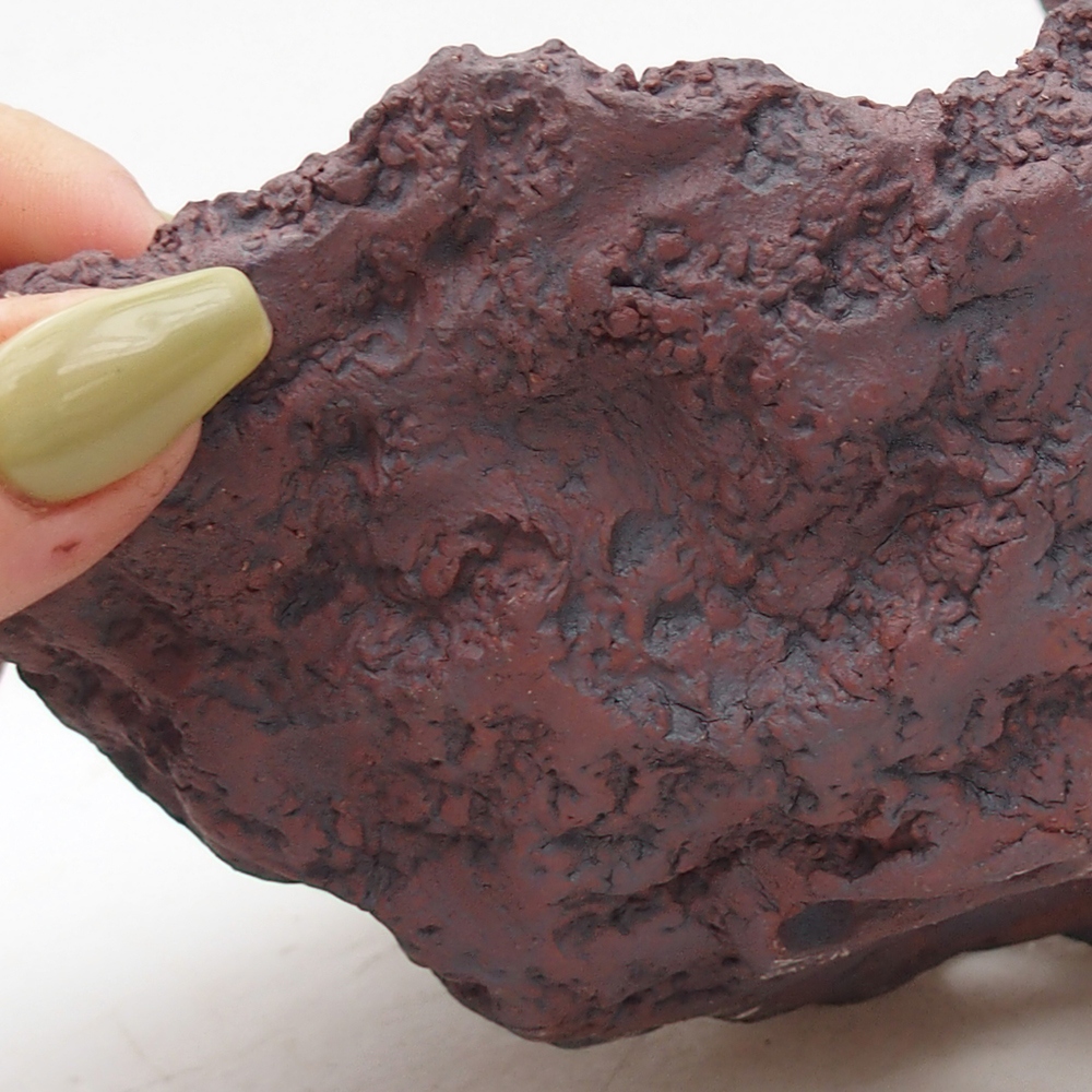 Conchiglia in ceramica 14 x 12,5 x 12 cm , colore marrone