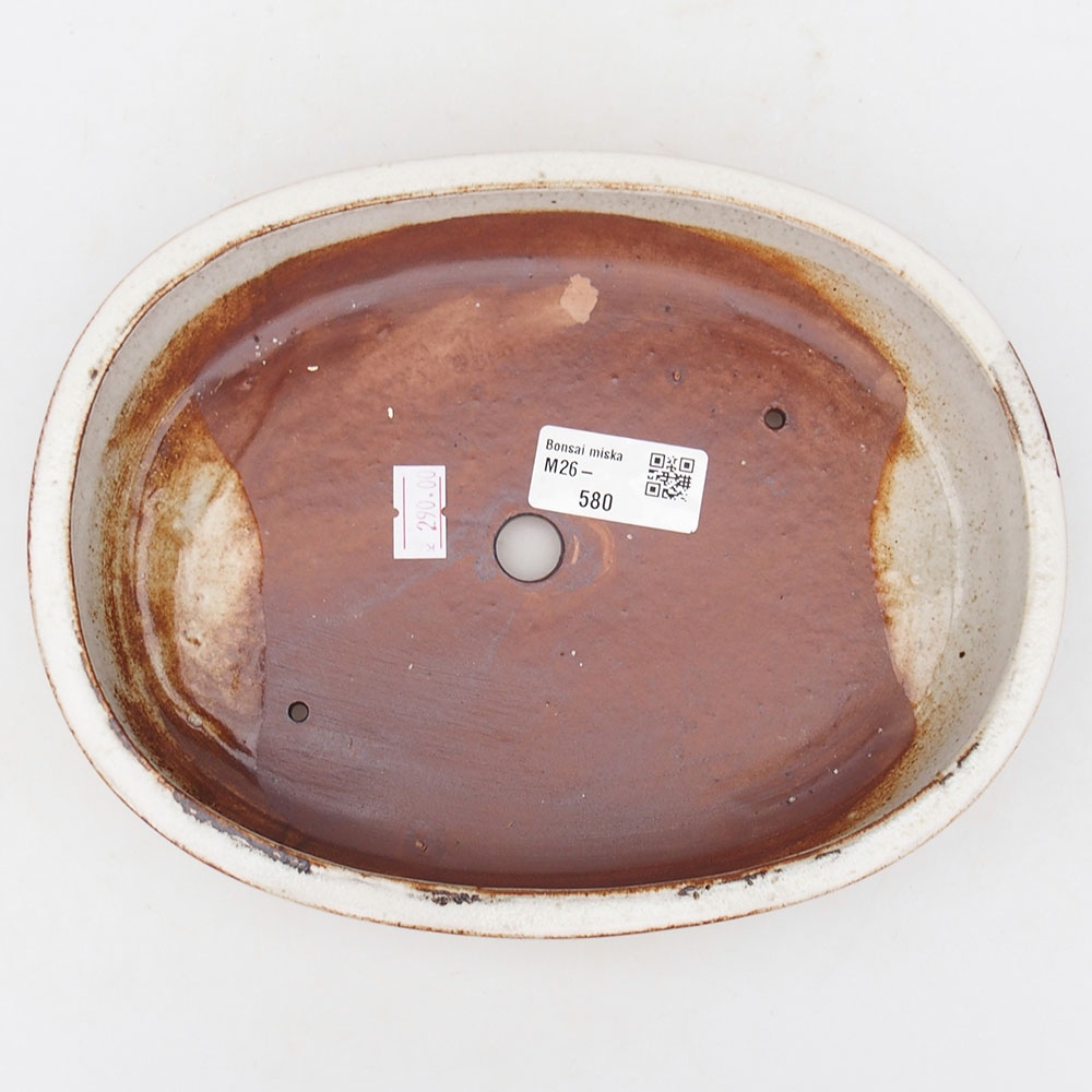 Ciotola bonsai in ceramica 22 x 17 x 4 cm, bianca