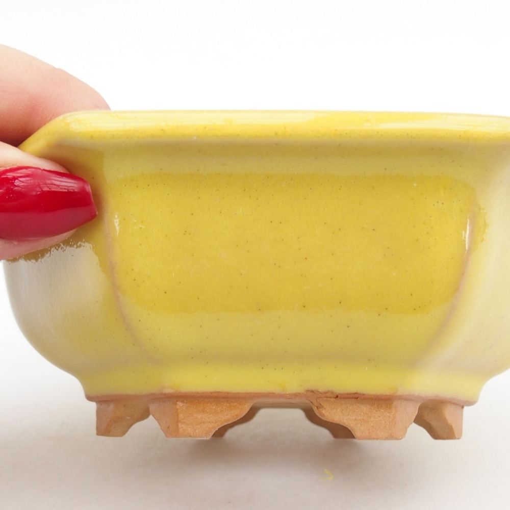 Ciotola bonsai in ceramica 26 x 26 x 8 cm, colore rosso