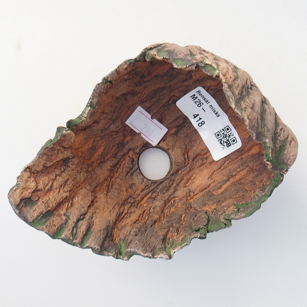 Conchiglia in ceramica 12 x 9,5 x 11 cm , colore verde