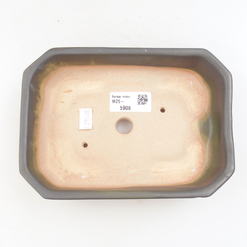 Ciotola bonsai in ceramica 22 x 17 x 5 cm, verde