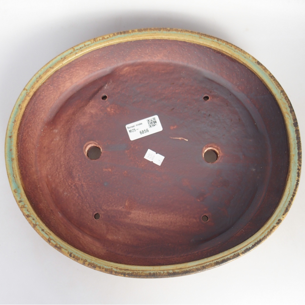 Ciotola per bonsai in ceramica 31,5 x 27,5 x 6,5 cm, verde