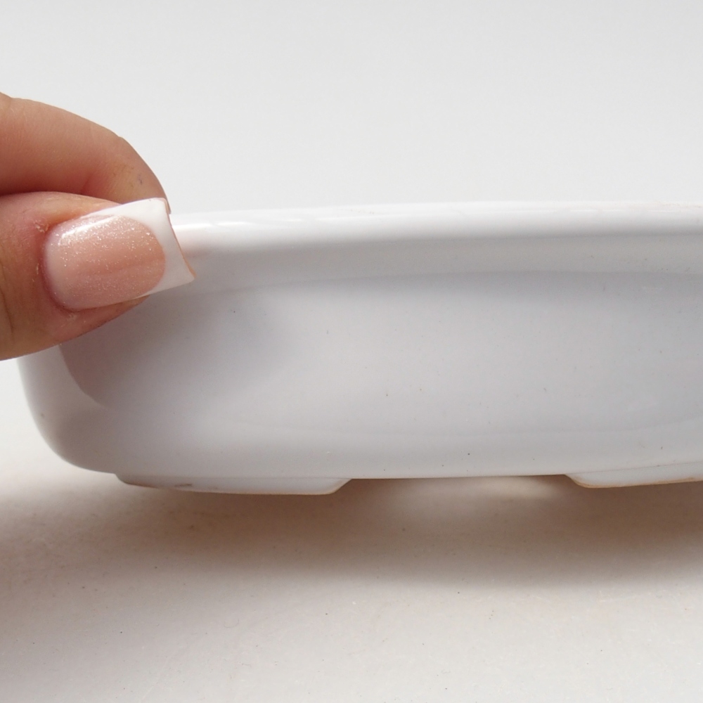 Ciotola per bonsai in ceramica 14,5 x 10,5 x 3,5 cm, colore bianco