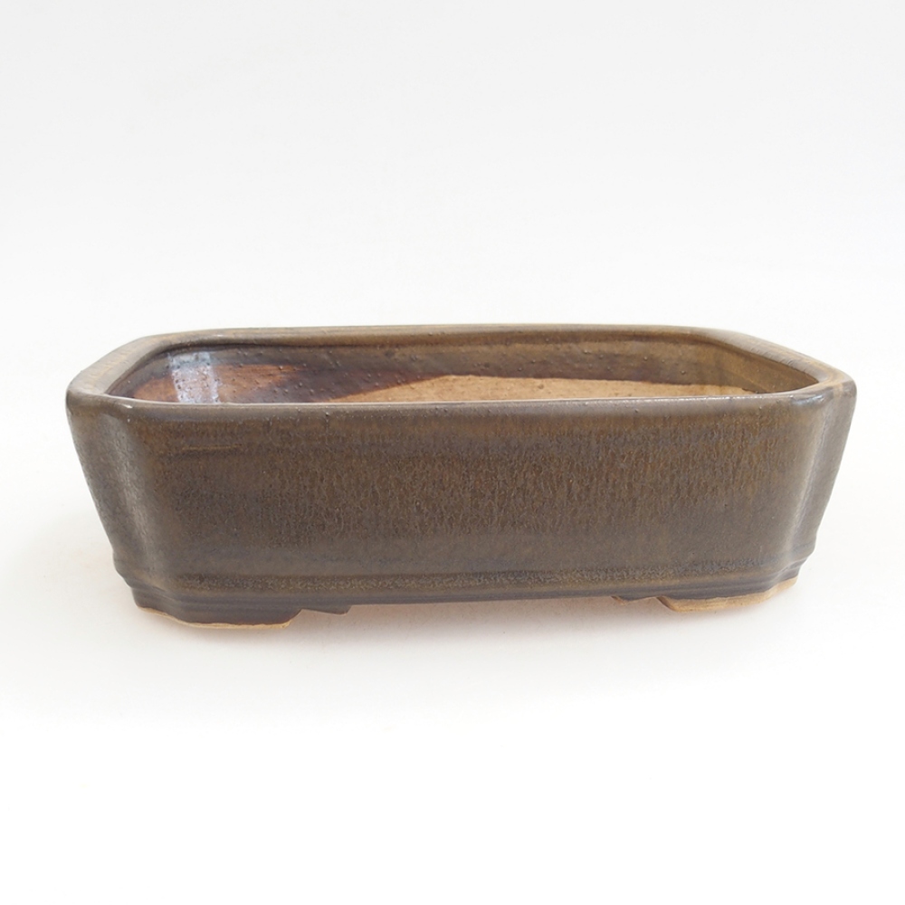 Ciotola per bonsai in ceramica 21 x 18 x 6 cm, marrone