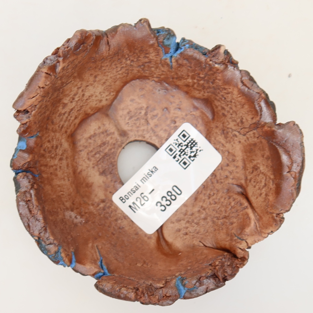 Guscio in ceramica 9 x 9 x 5 cm, colore blu