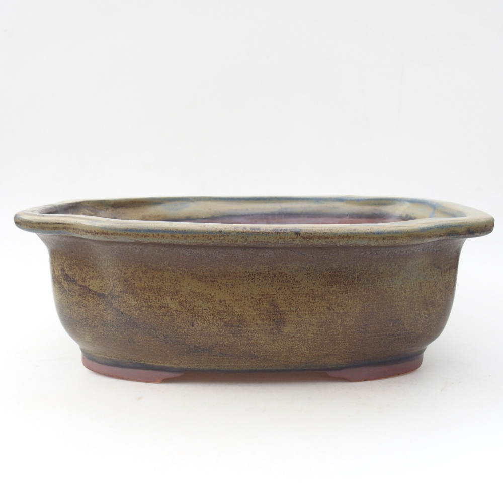 Ciotola bonsai in ceramica 30 x 25 x 10 cm, colore blu