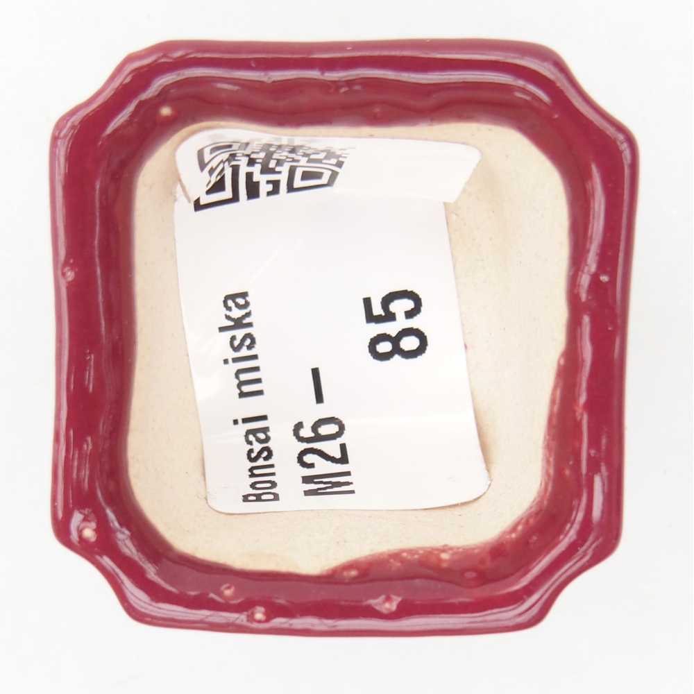 Mini bonsai 3,5 x 3,5 x 2 cm, bordeaux