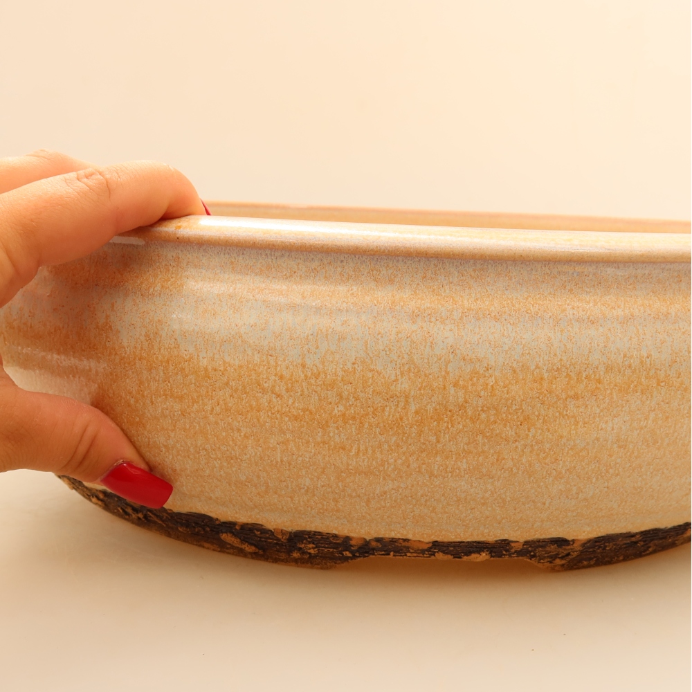 Vaso da bonsai in ceramica 35 x 35 x 11 cm, colore beige - SOLO RITIRO IN NEGOZIO o spedizione su pallet