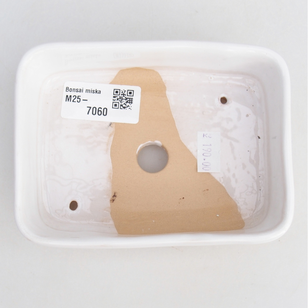 Ciotola bonsai in ceramica 26 x 26 x 8 cm, colore rosso