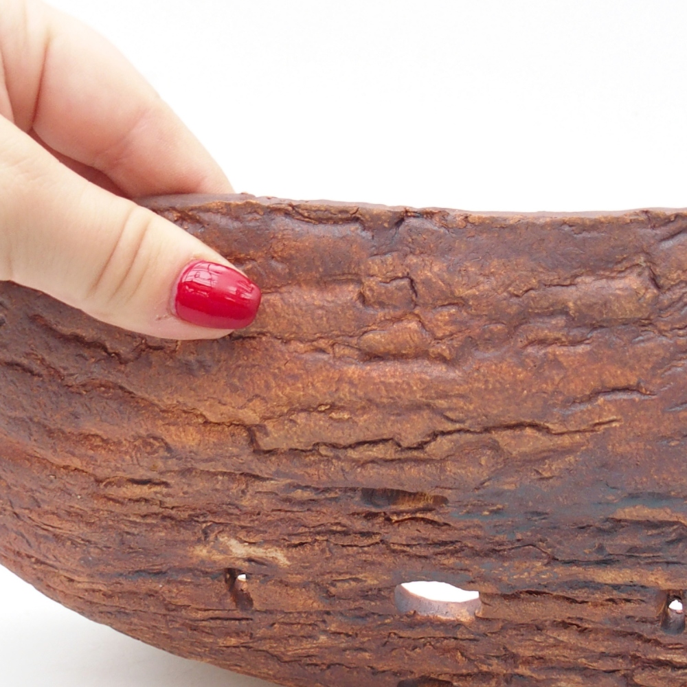 Conchiglia in ceramica 30 x 18,5 x 5 cm , colore marrone