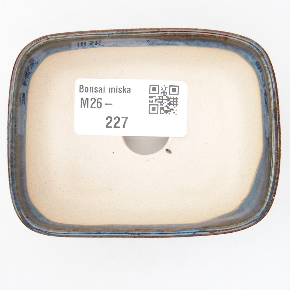 Mini bonsai 8 x 6,5 x 3 cm, colore blu