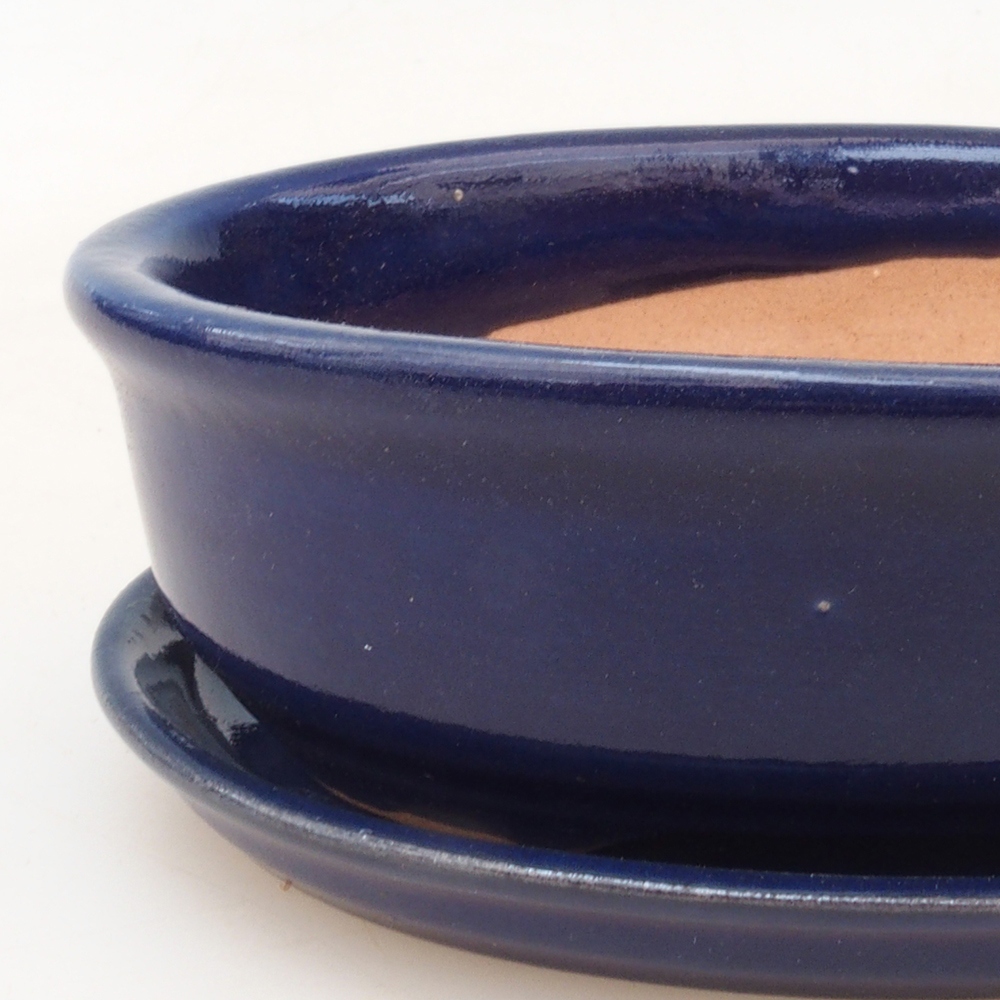 Ciotola bonsai + piattino H04 - blu