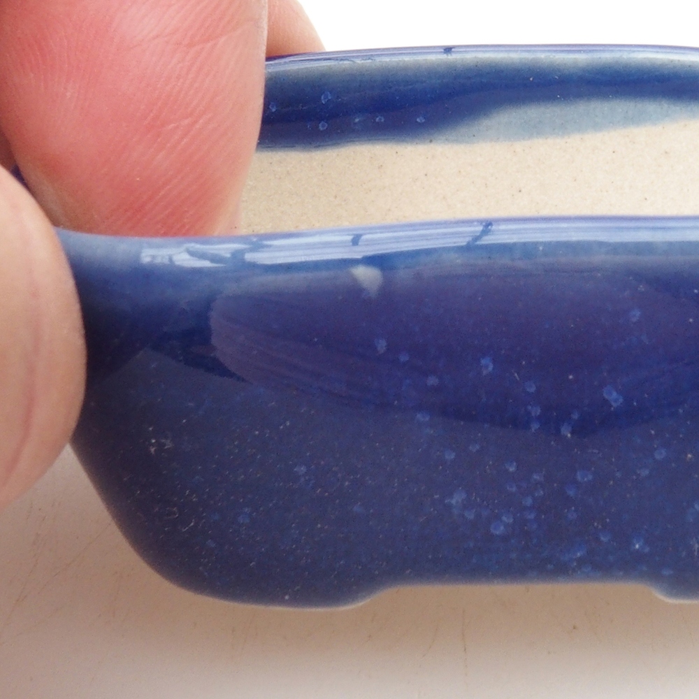 Mini bonsai 5,5 x 4 x 2,5 cm, colore blu