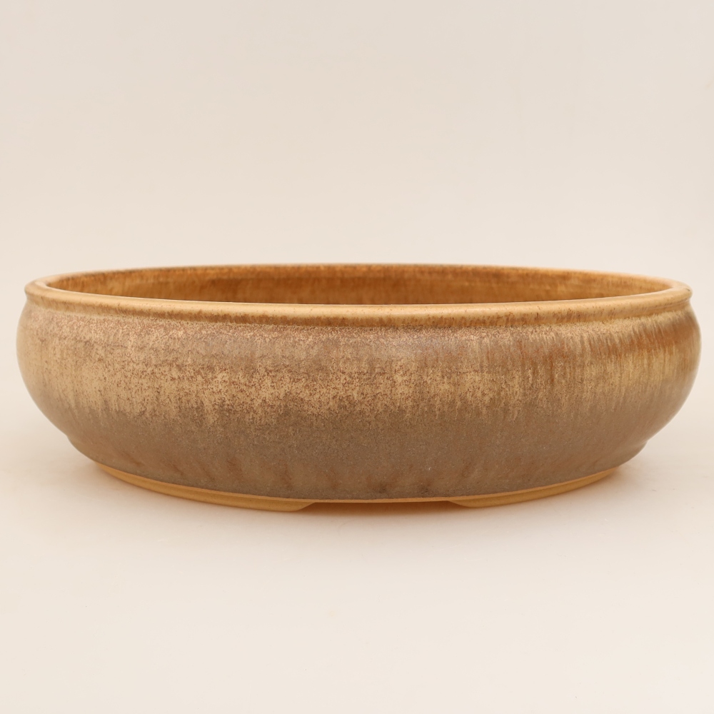 Vaso da bonsai in ceramica 31 x 31 x 8 cm, colore beige