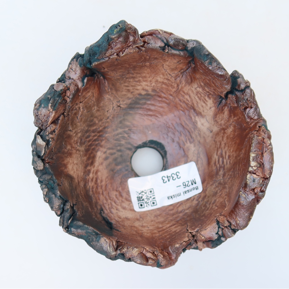 Guscio in ceramica  11 x 11 x 7,5 cm, colore verde