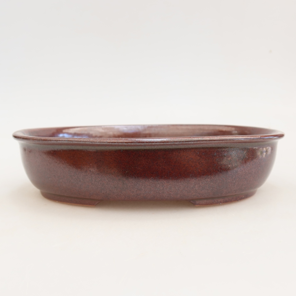 Vaso da bonsai in ceramica 22 x 17 x 5 cm, colore bordeaux
