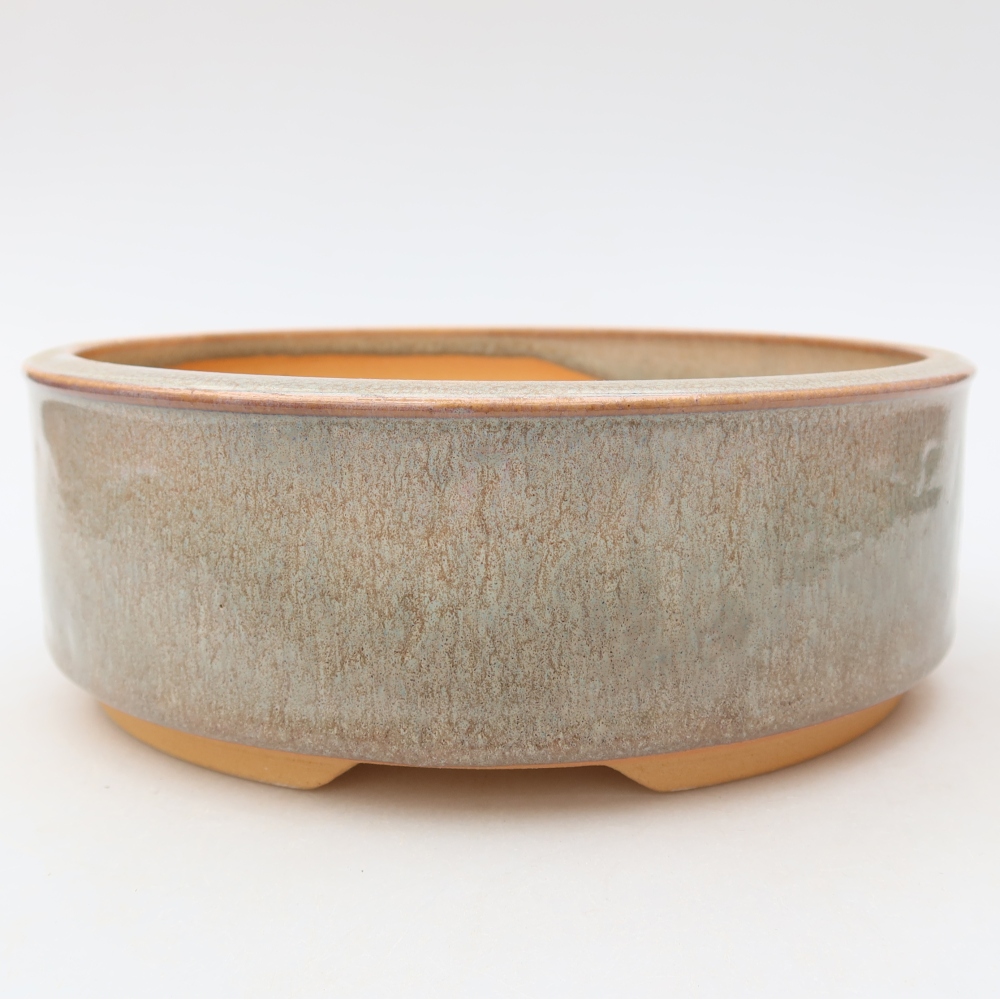 Vaso per bonsai in ceramica 19 x 19 x 6,5 cm, colore beige