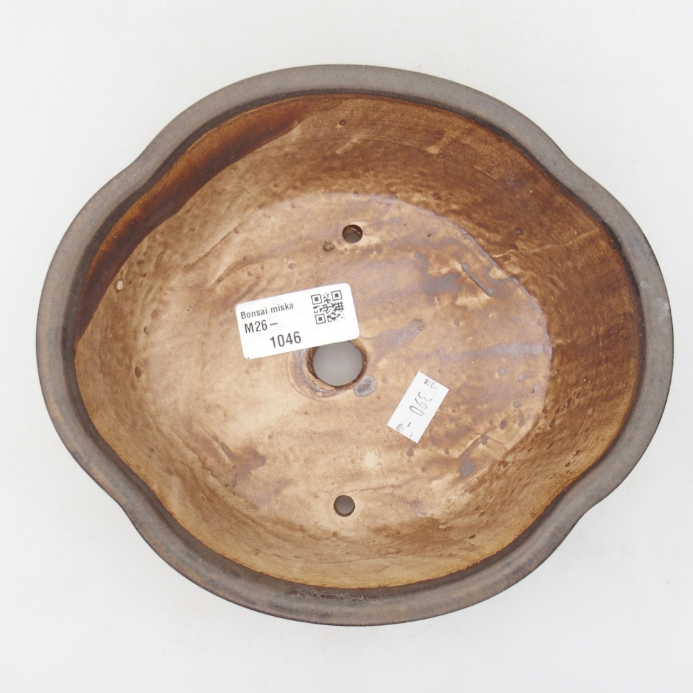 Ciotola per bonsai in ceramica 18,5 x 17 x 6 cm, marrone