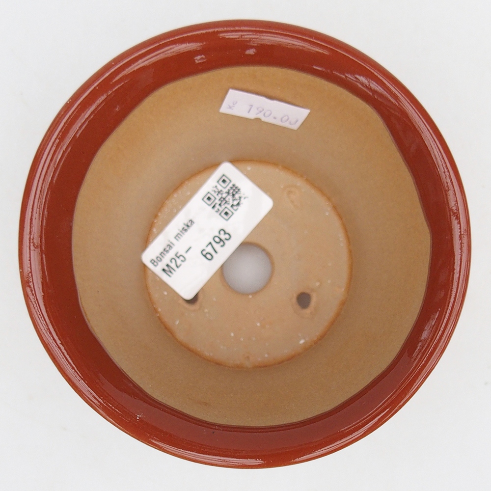 Ciotola per bonsai in ceramica 11 x 11 x 7 cm, marrone