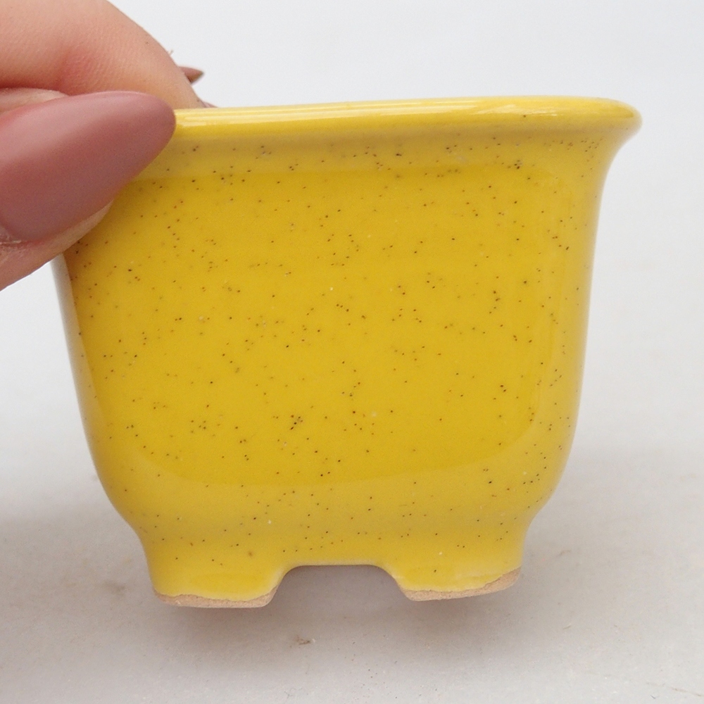 Ciotola per bonsai in ceramica 6,5 x 6,5 x 5 cm, giallo