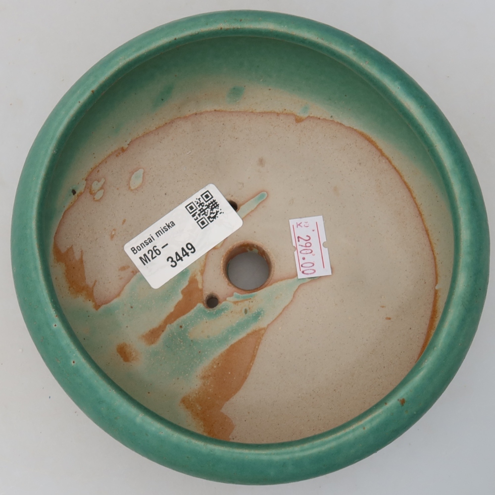 Vaso da bonsai in ceramica 15 x 15 x 6,5 cm, colore verde