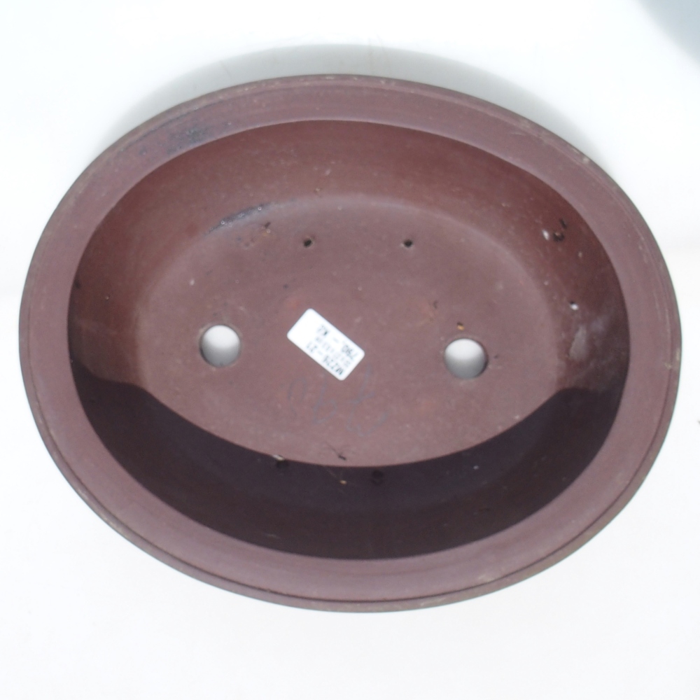 Ciotola bonsai 33 x 27 x 8,5 cm betulla marrone