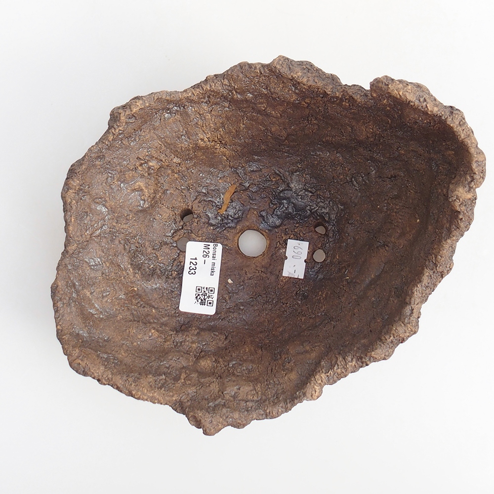 Conchiglia in ceramica 19 x 16 x 16 cm , colore marrone