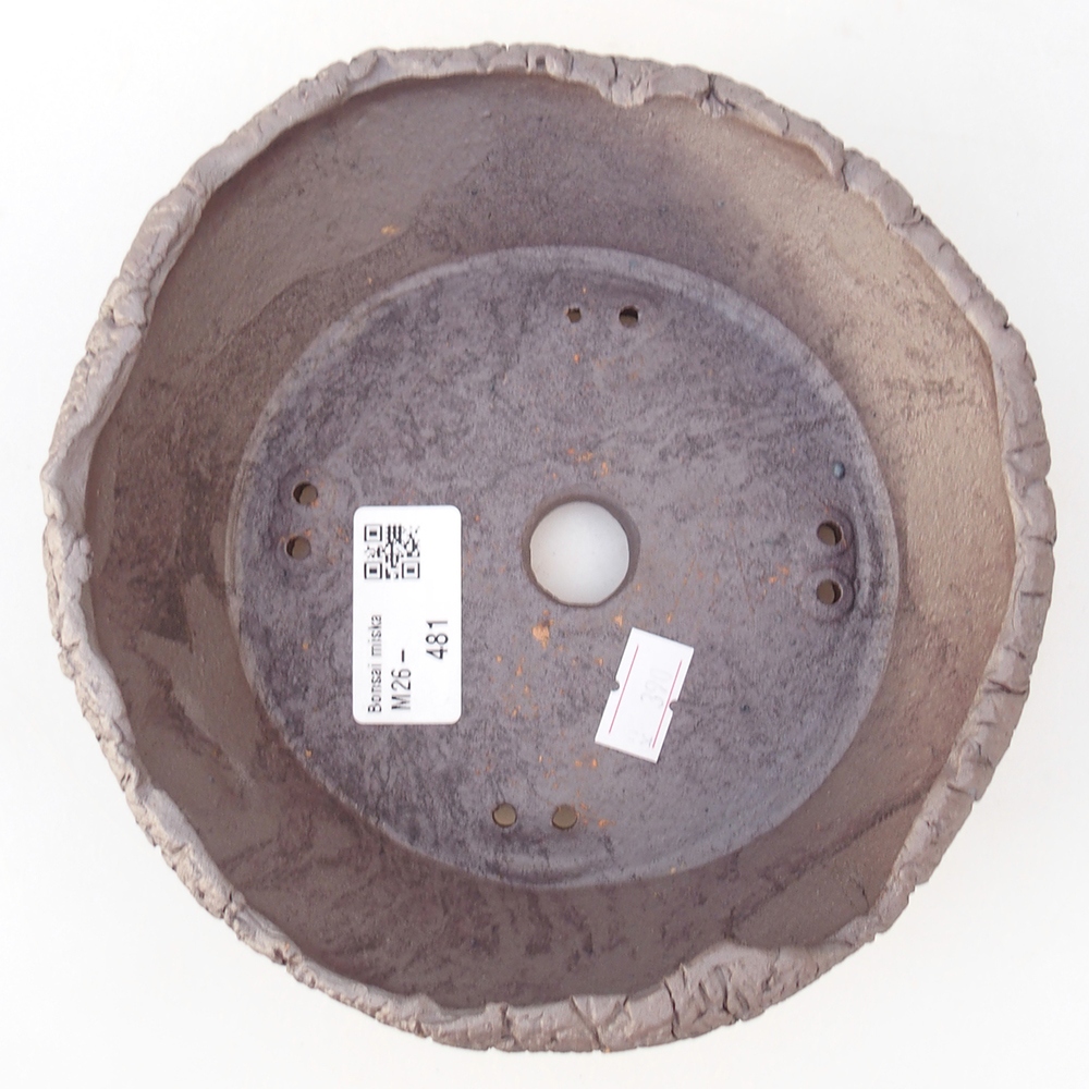 Ciotola bonsai in ceramica 16 x 16 x 5 cm, colore metallo