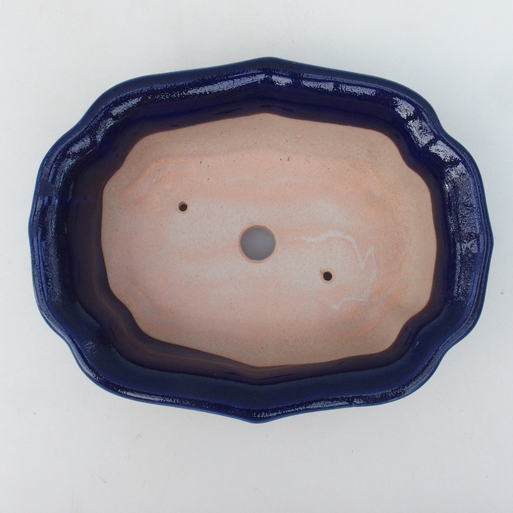 Ciotola per bonsai H51 - 18 x 14 x 5 cm - blu