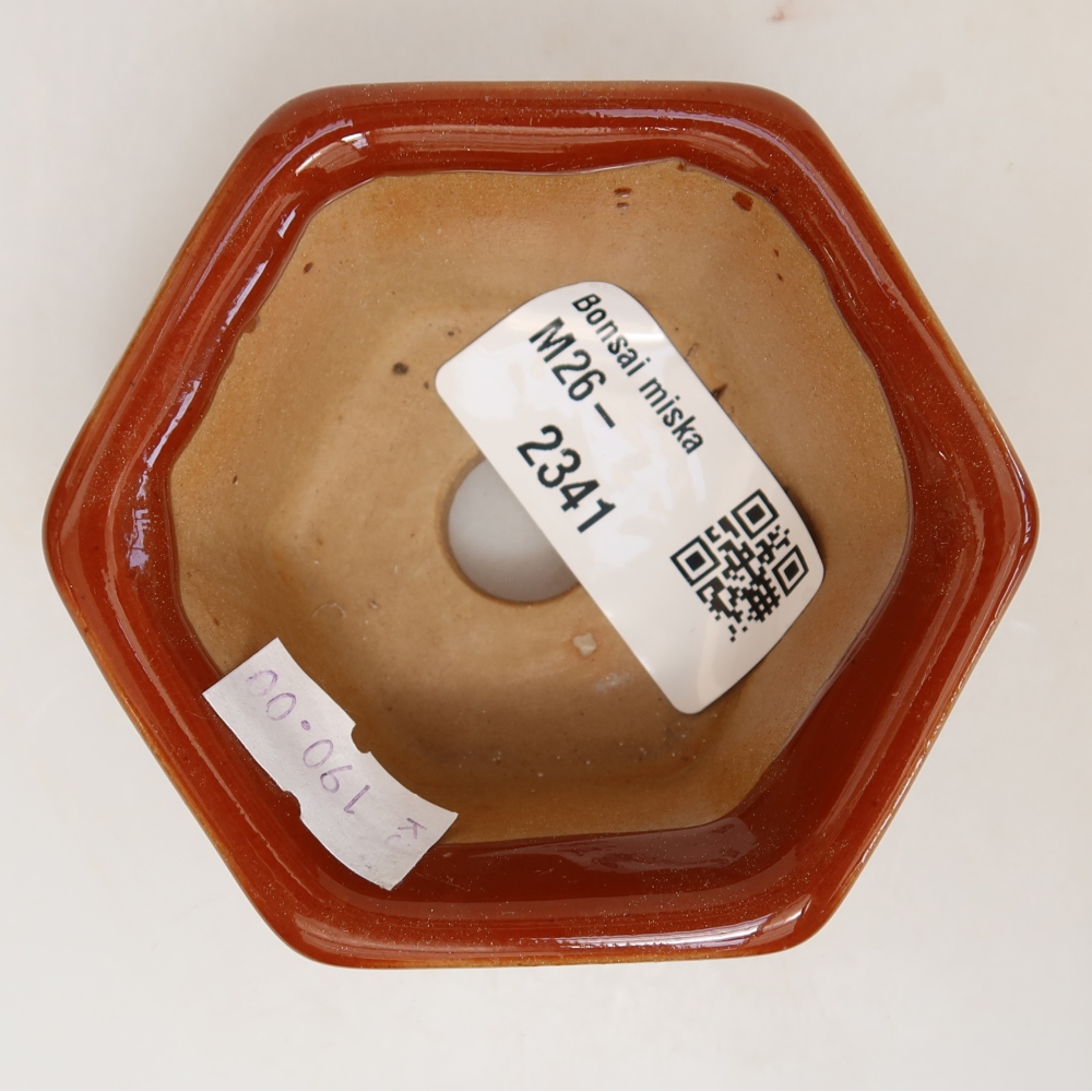 Ciotola per bonsai in ceramica 7,5 x 7 x 4 cm, marrone
