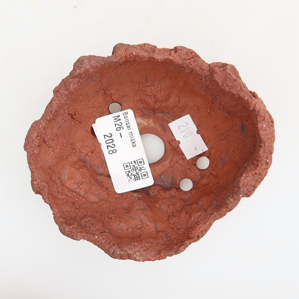 Guscio in ceramica 10 x 8 x 7 cm, colore marrone