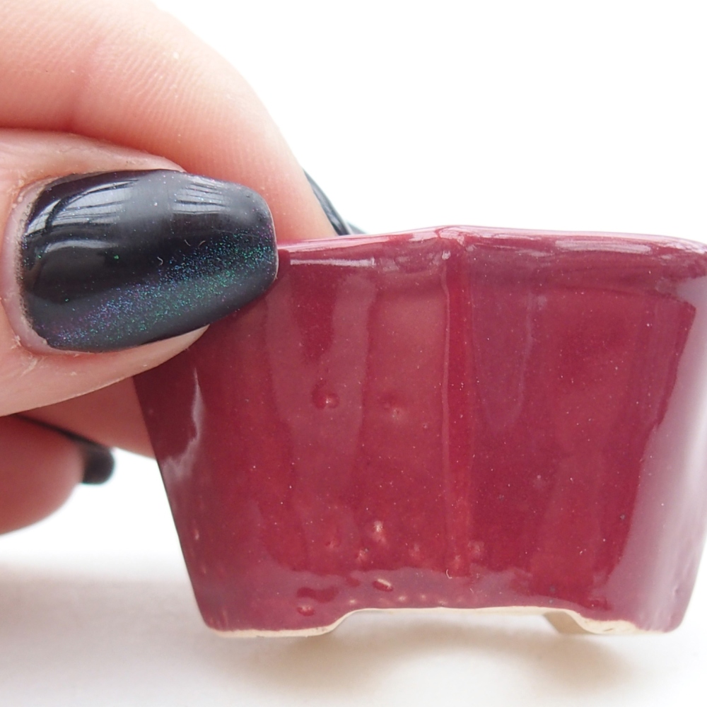 Mini bonsai 4,5 x 3 x 2,5 cm, colore bordeaux