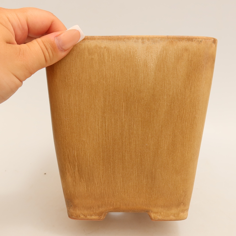 Vaso da bonsai in ceramica 13,5 x 13,5 x 15 cm, colore beige