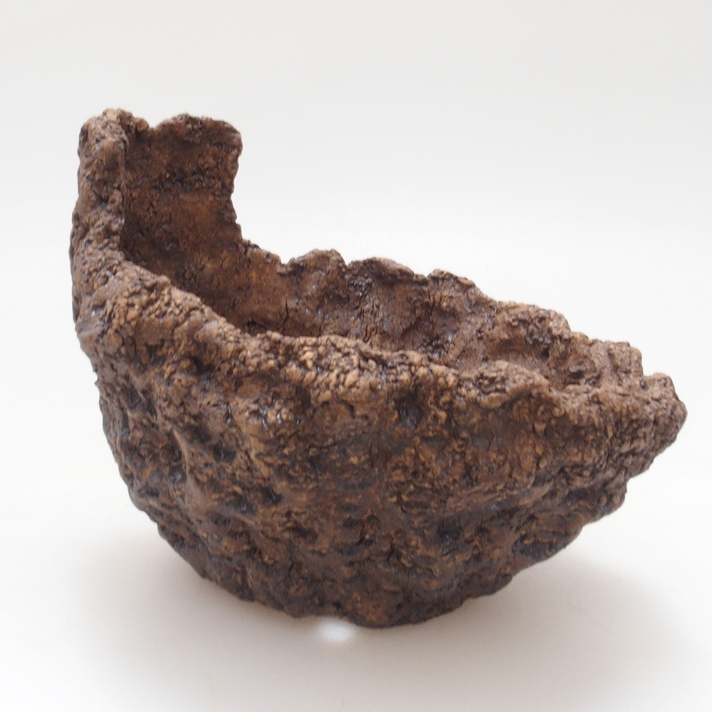 Conchiglia in ceramica 9 x 8 x 8,5 cm , colore marrone