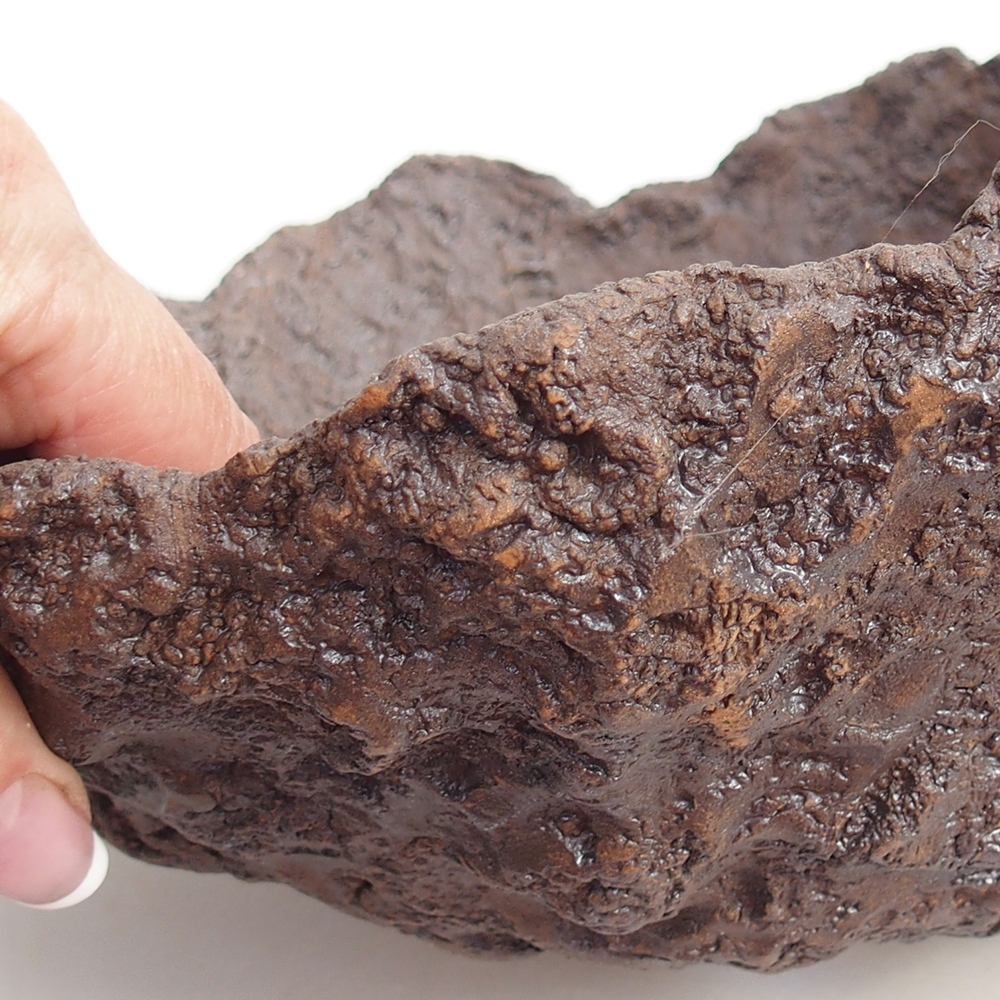 Conchiglia in ceramica 25 x 21 x 21 cm , colore marrone