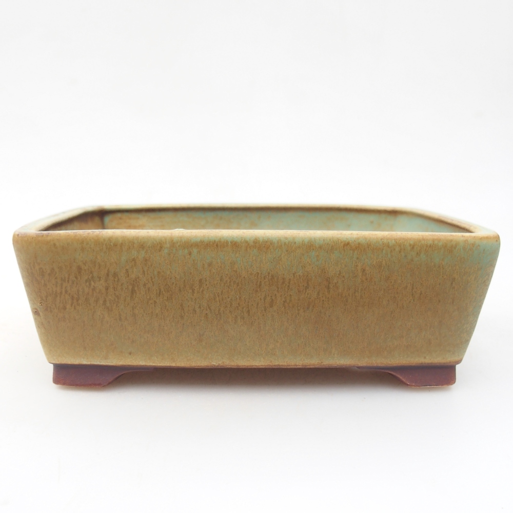 Ciotola per bonsai in ceramica 15 x 12 x 5 cm, verde