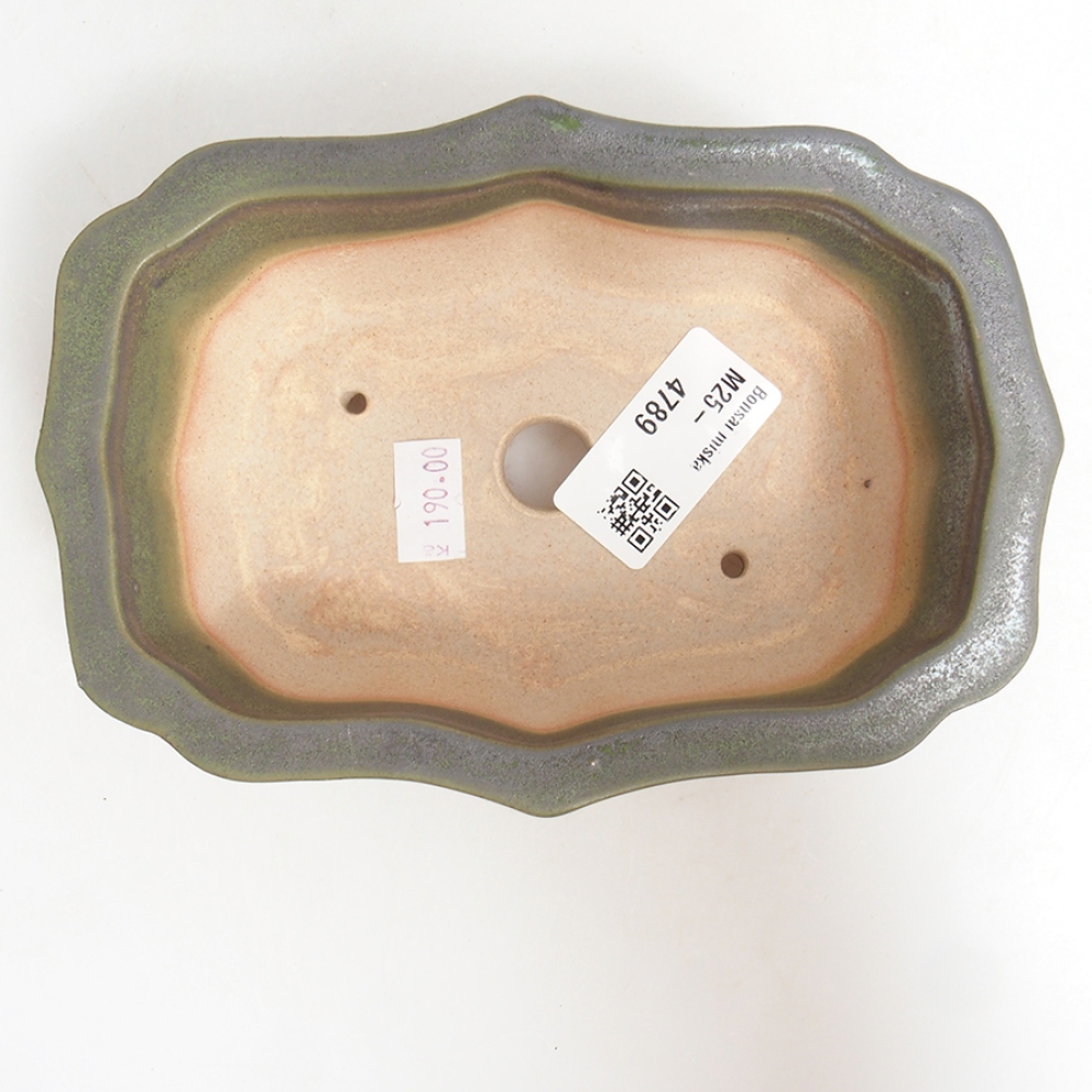 Ciotola per bonsai in ceramica 15,5 x 11,5 x 4,5 cm, verde