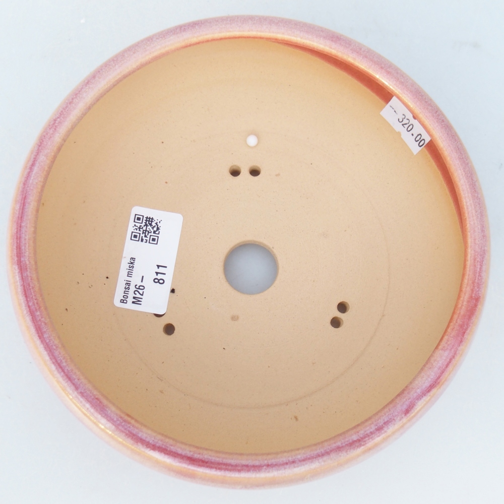 Ciotola per bonsai in ceramica 15,5 x 15,5 x 6 cm, rosa