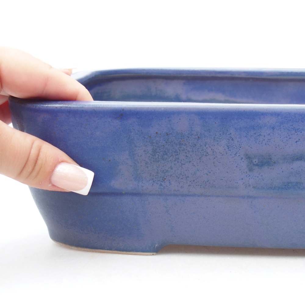 Ciotola bonsai in ceramica 27,5 x 20,5 x 7,5 cm, colore blu