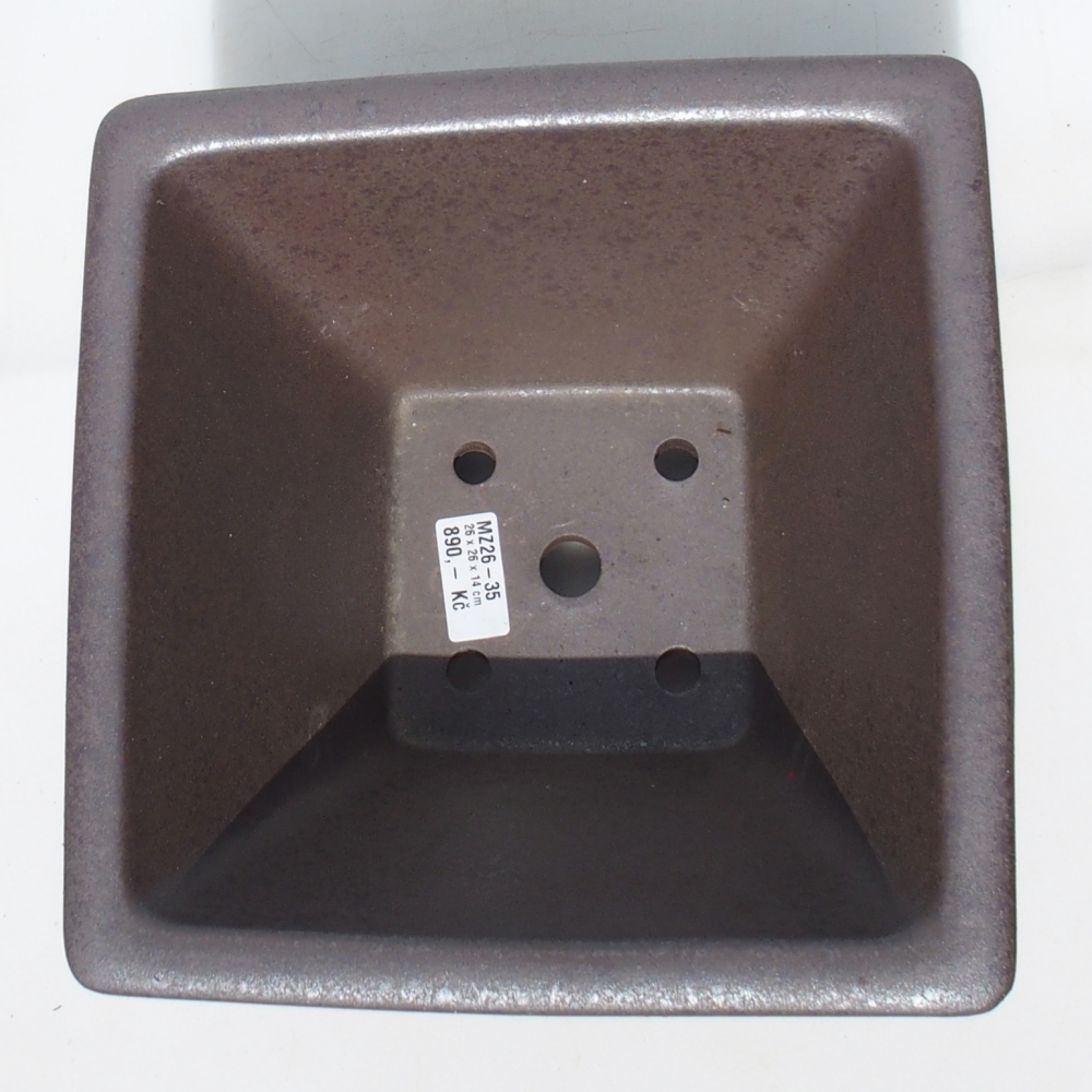 Ciotola bonsai 26 x 26 x 14 cm