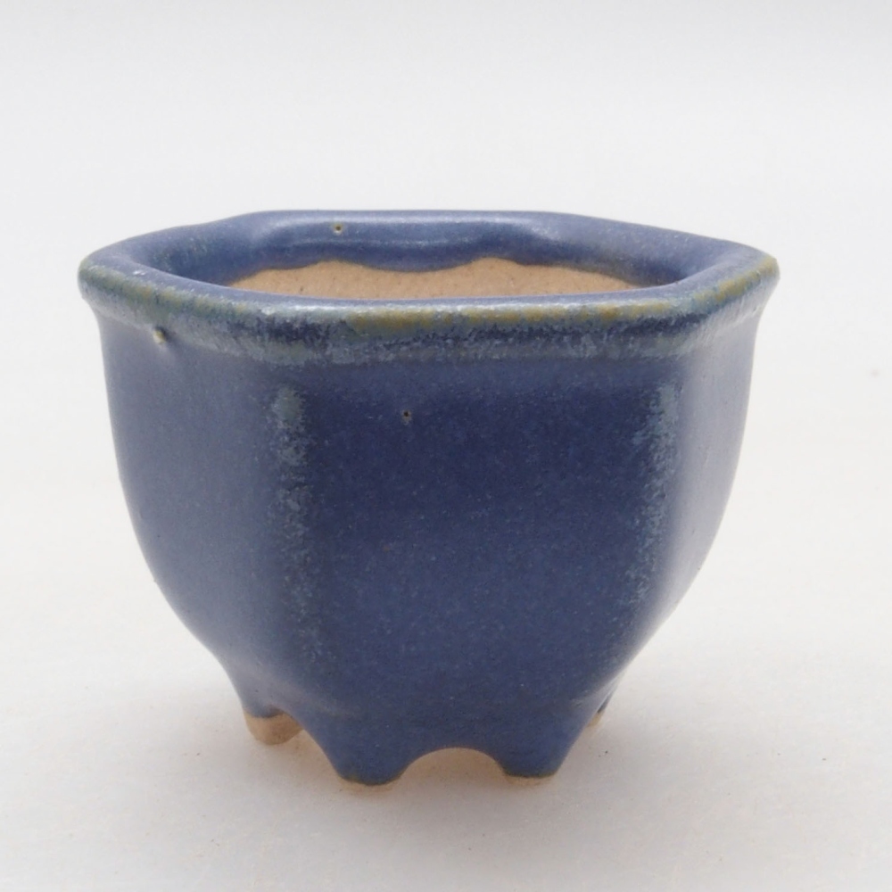 Mini bonsai 4 x 3,5 x 3 cm, colore blu