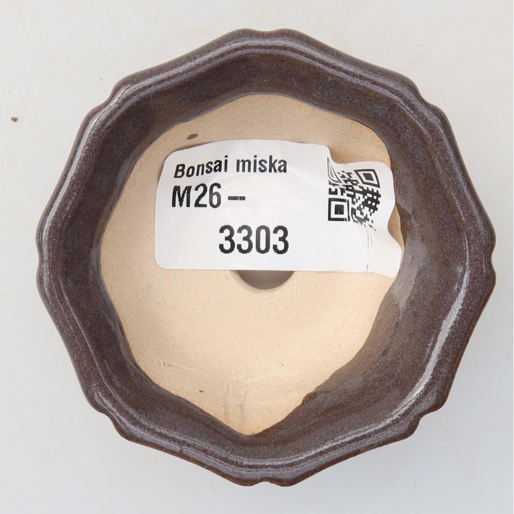 Vaso in ceramica per bonsai 6 x 6 x 2,5 cm, colore grigio